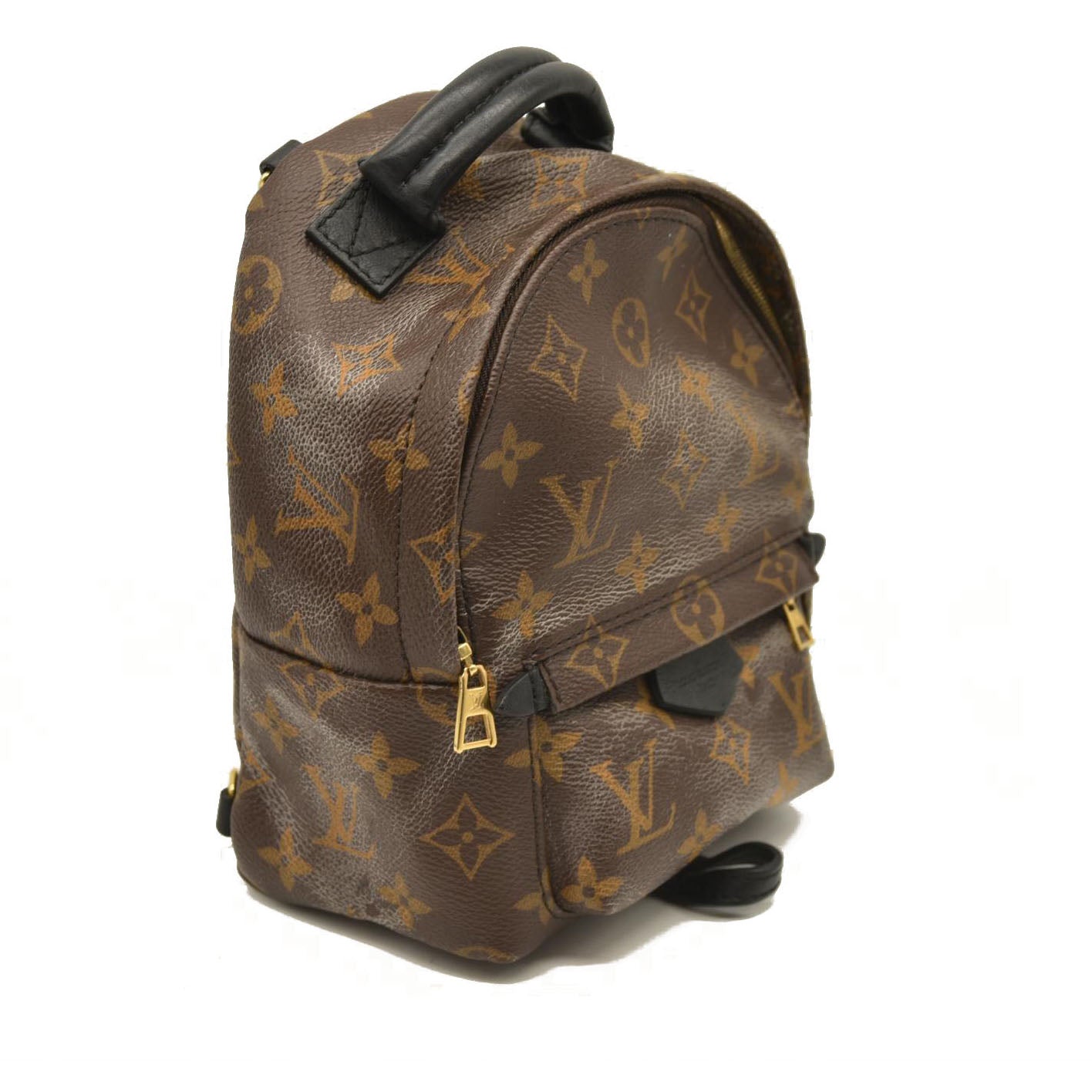 Louis Vuitton  Monogram Palm Springs Backpack Mini