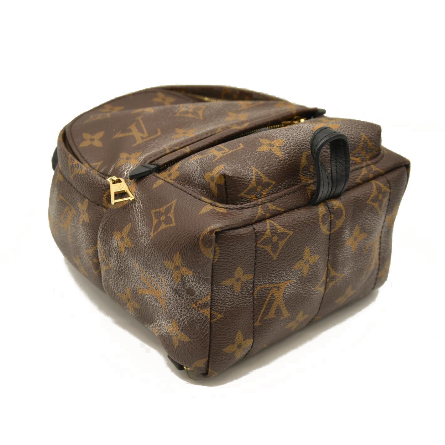 Louis Vuitton  Monogram Palm Springs Backpack Mini