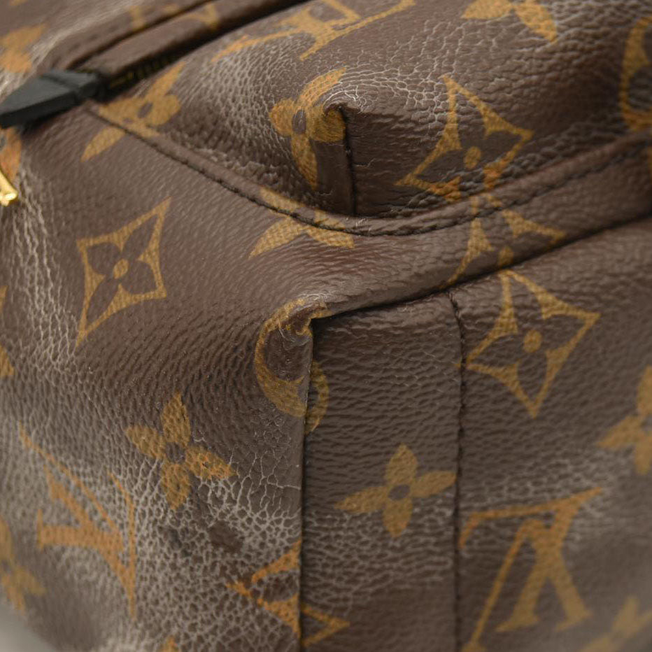 Louis Vuitton  Monogram Palm Springs Backpack Mini
