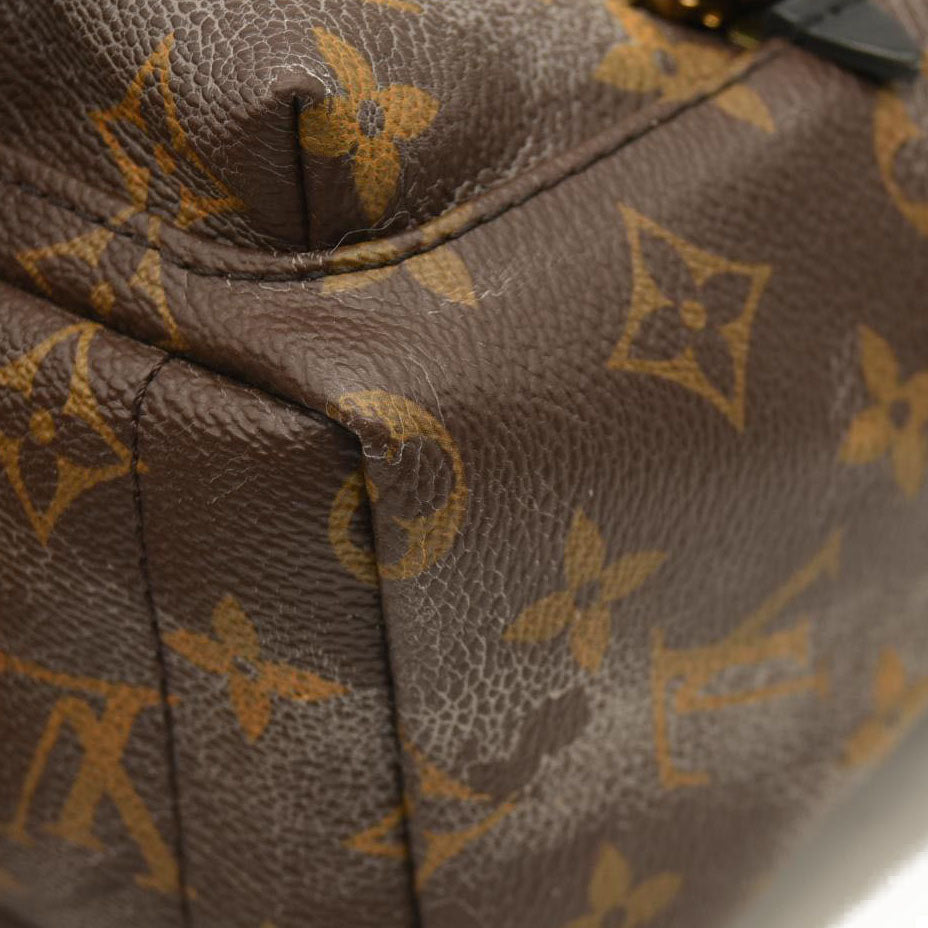 Louis Vuitton  Monogram Palm Springs Backpack Mini
