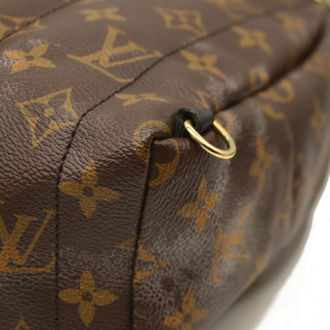 Louis Vuitton  Monogram Palm Springs Backpack Mini