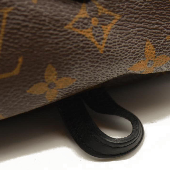 Louis Vuitton  Monogram Palm Springs Backpack Mini