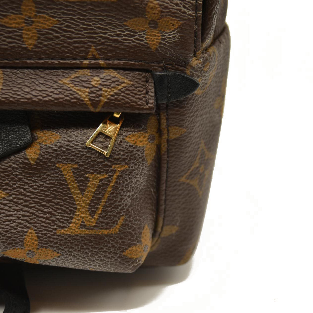 Louis Vuitton  Monogram Palm Springs Backpack Mini