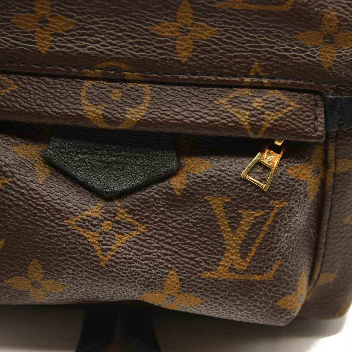 Louis Vuitton  Monogram Palm Springs Backpack Mini