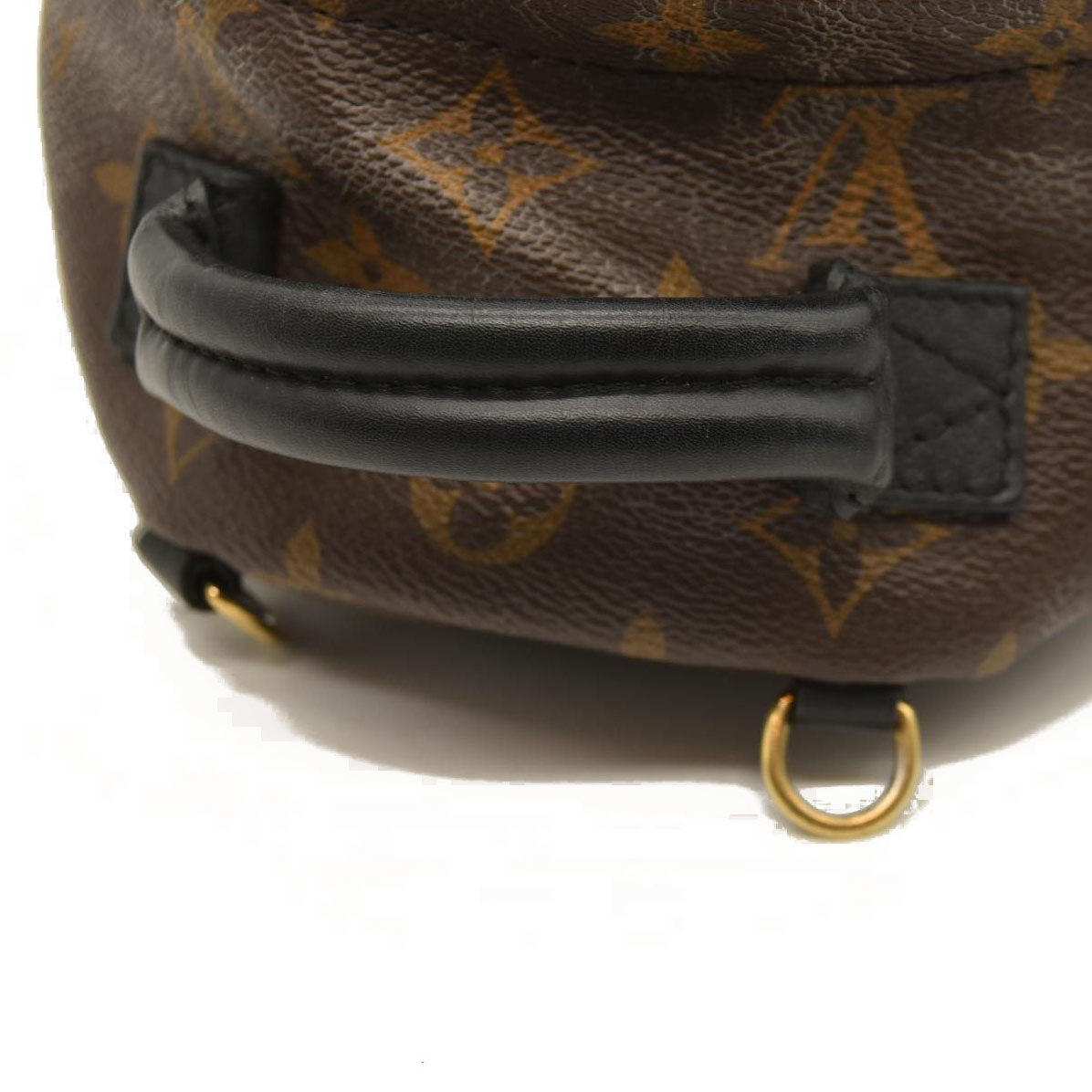 Louis Vuitton  Monogram Palm Springs Backpack Mini