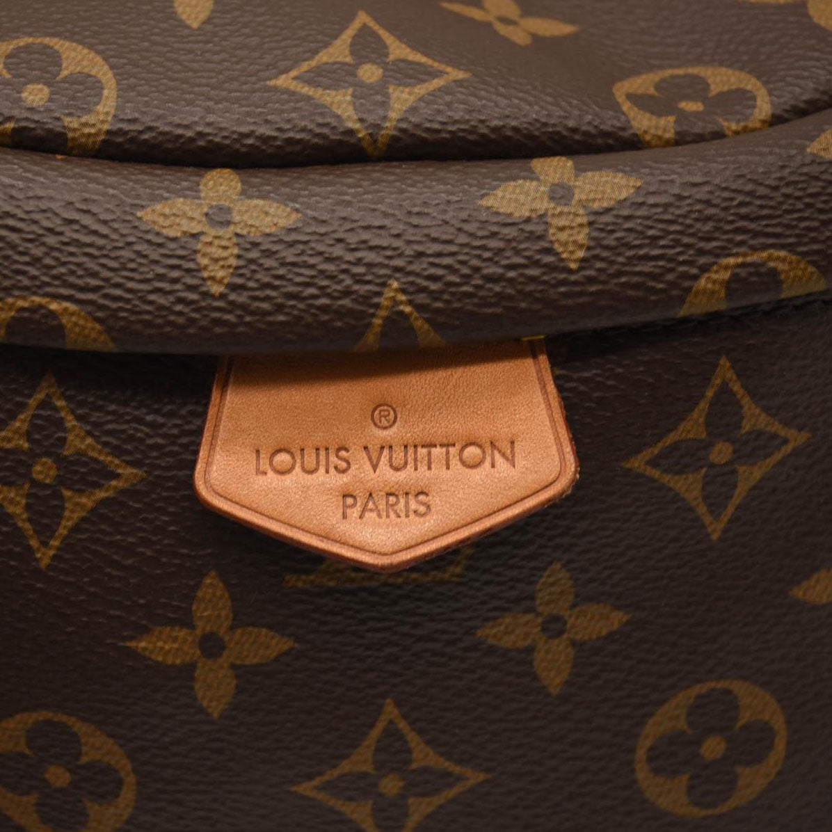 LOUIS VUITTON Monogram Bumbag