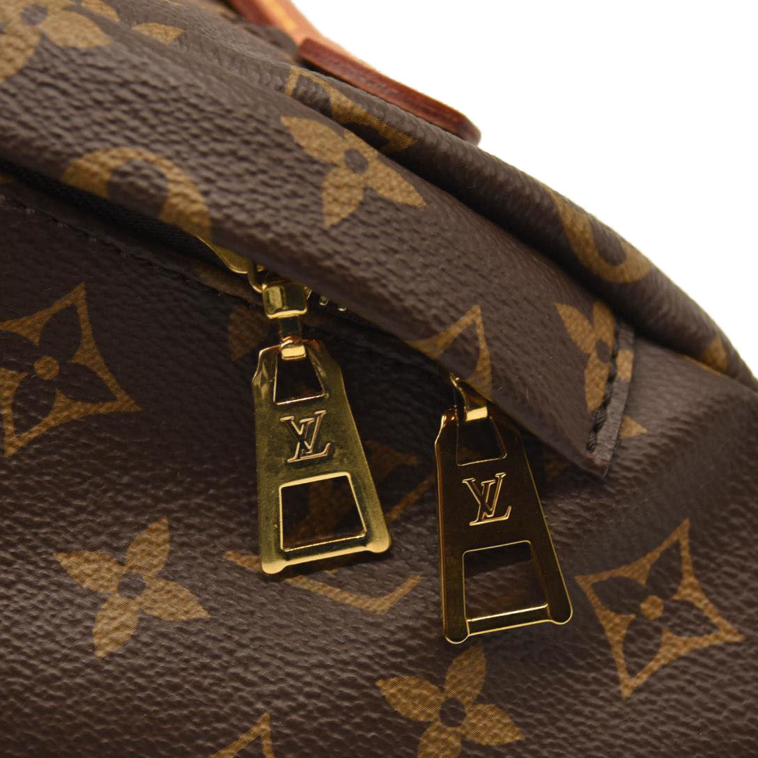 LOUIS VUITTON Monogram Bumbag
