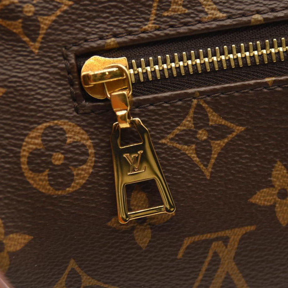 LOUIS VUITTON Monogram Bumbag