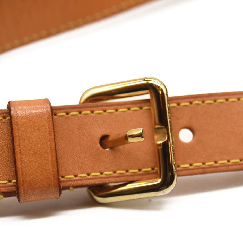 LOUIS VUITTON Monogram Bumbag