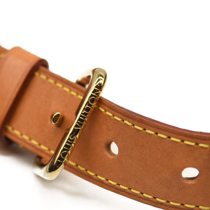 LOUIS VUITTON Monogram Bumbag