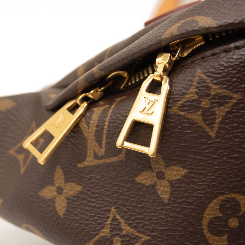 MI3198 USED Louis Vuitton Bumbag Brown Monogram Canvas Messenger Bag F -  MyDesignerly