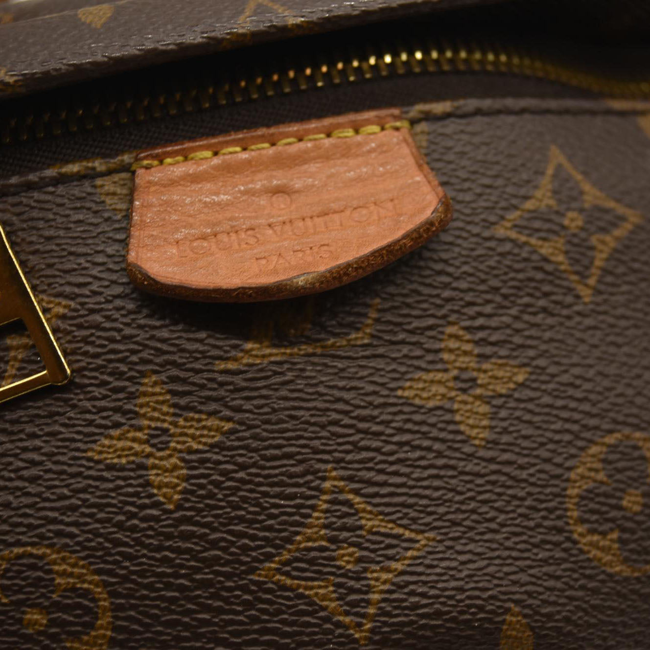 LOUIS VUITTON  Monogram Bumbag  CA8260