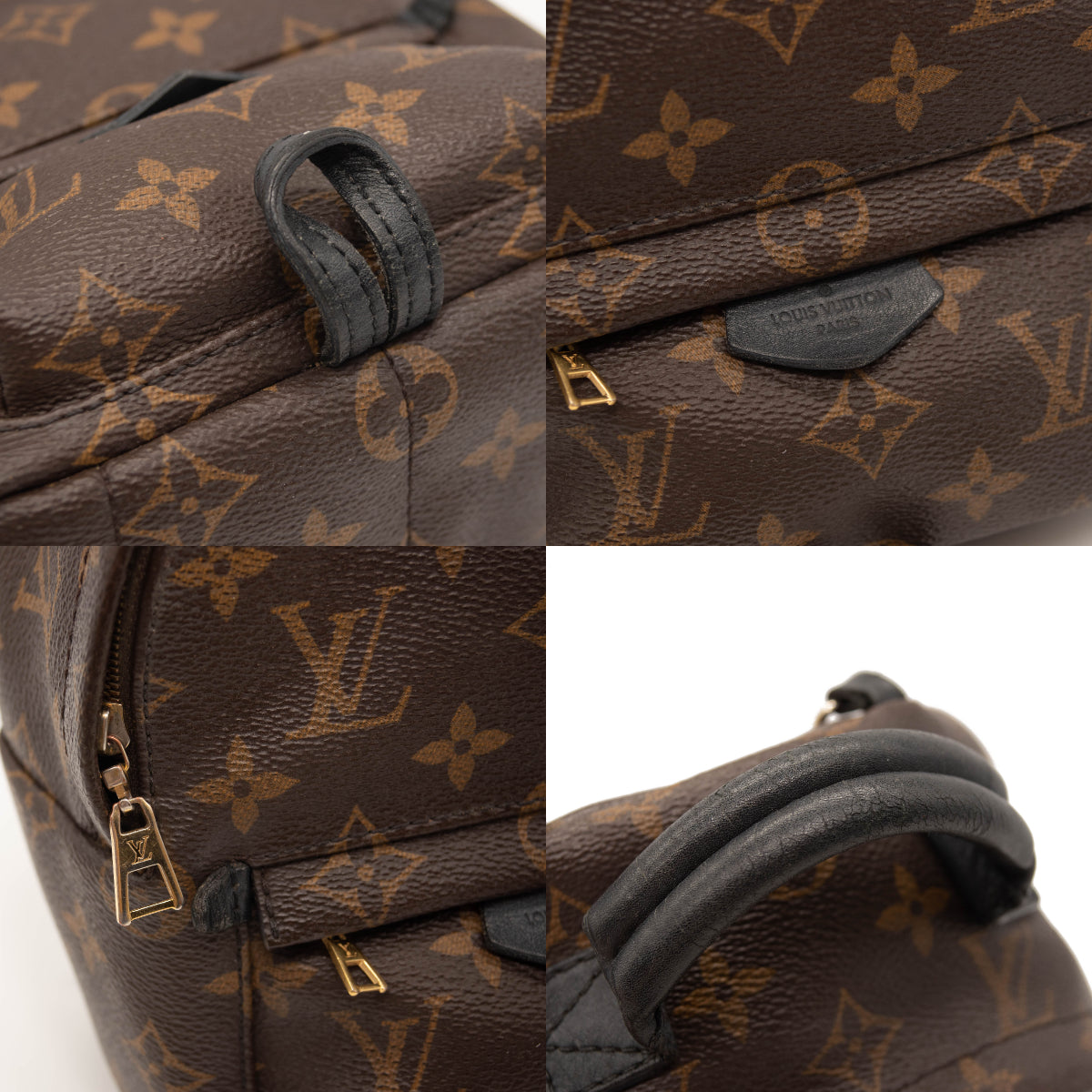 Louis Vuitton Monogram Palm Springs Backpack Mini