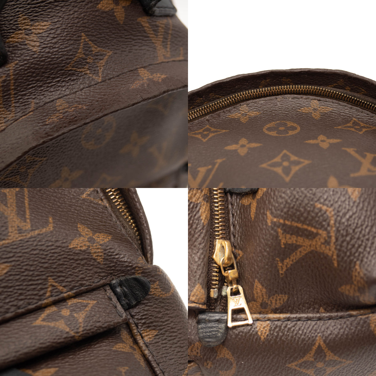 Louis Vuitton Monogram Palm Springs Backpack Mini