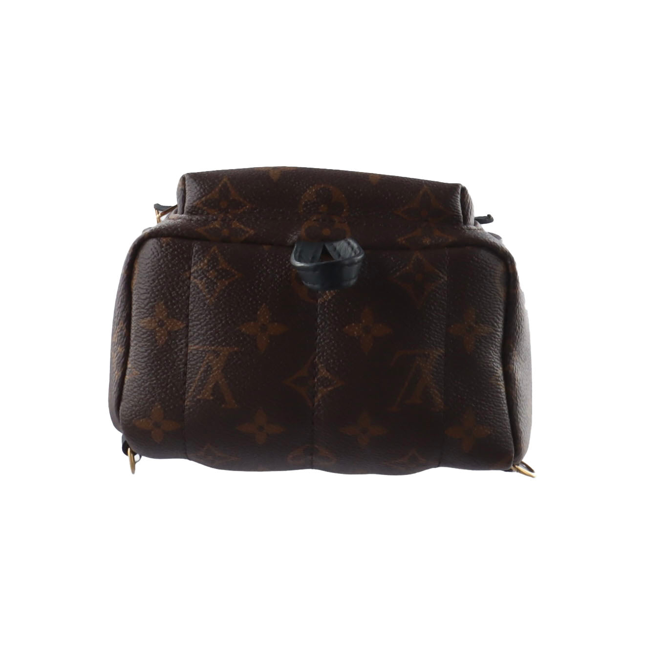 Louis Vuitton  Monogram Palm Springs Backpack Mini