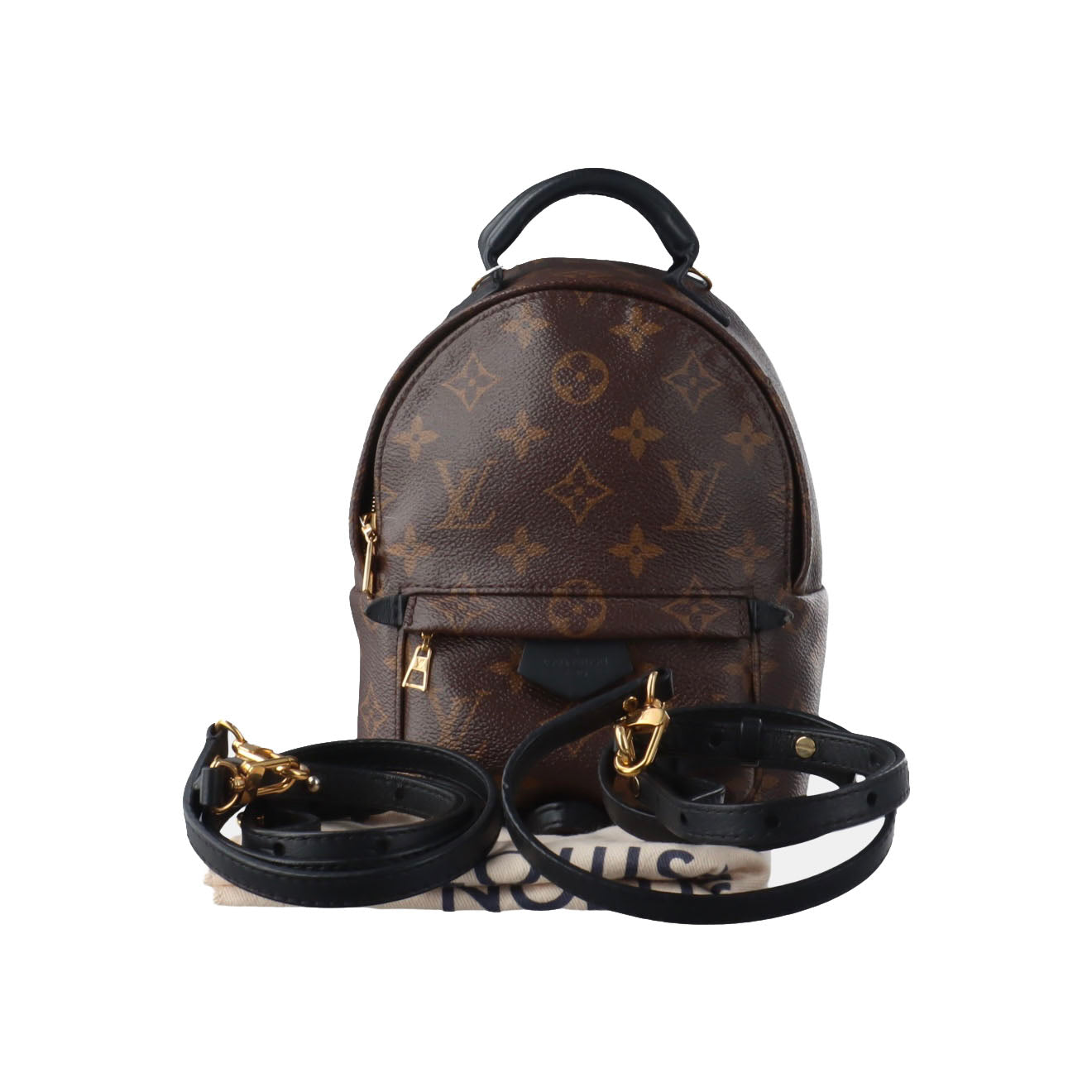 Louis Vuitton  Monogram Palm Springs Backpack Mini