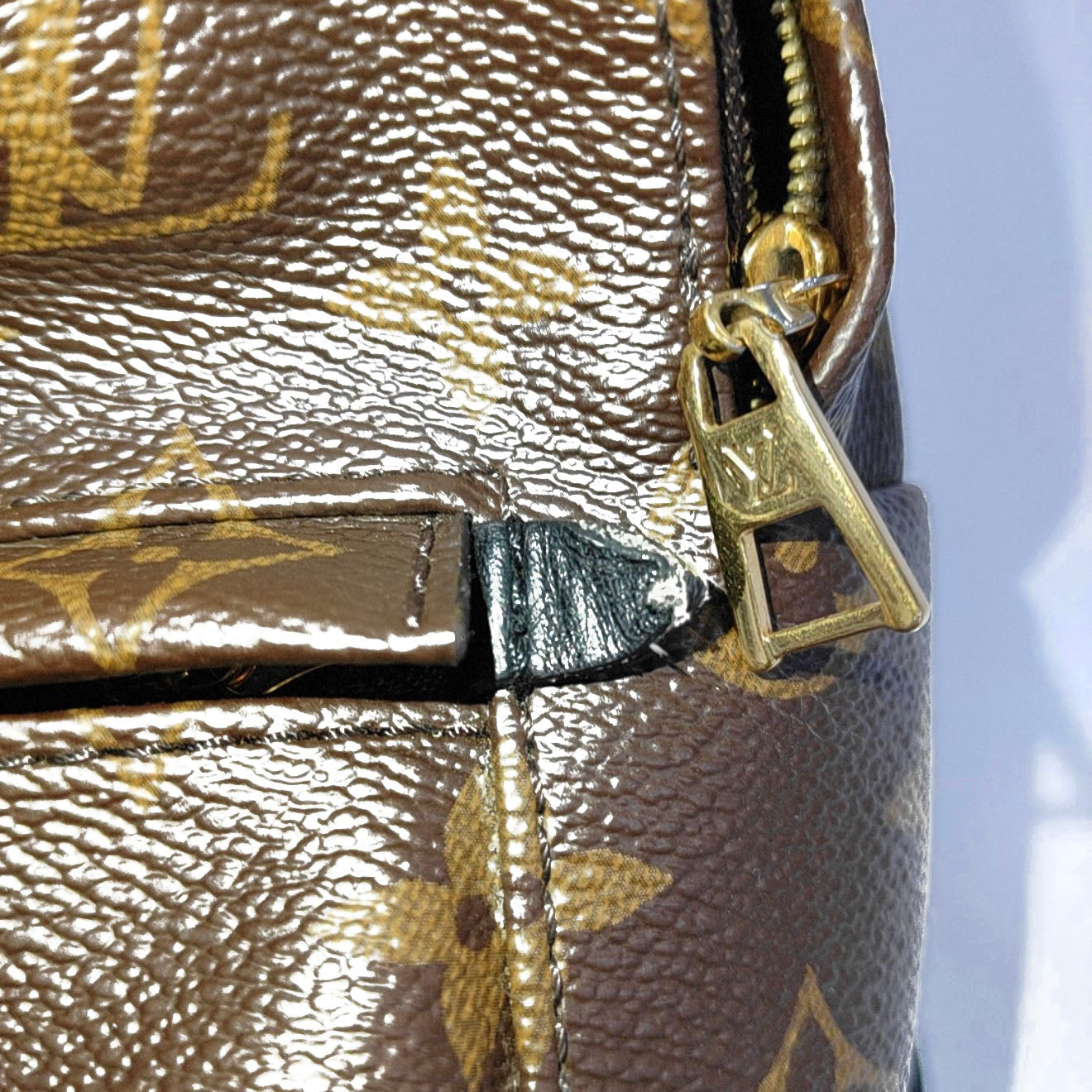 Louis Vuitton  Monogram Palm Springs Backpack Mini