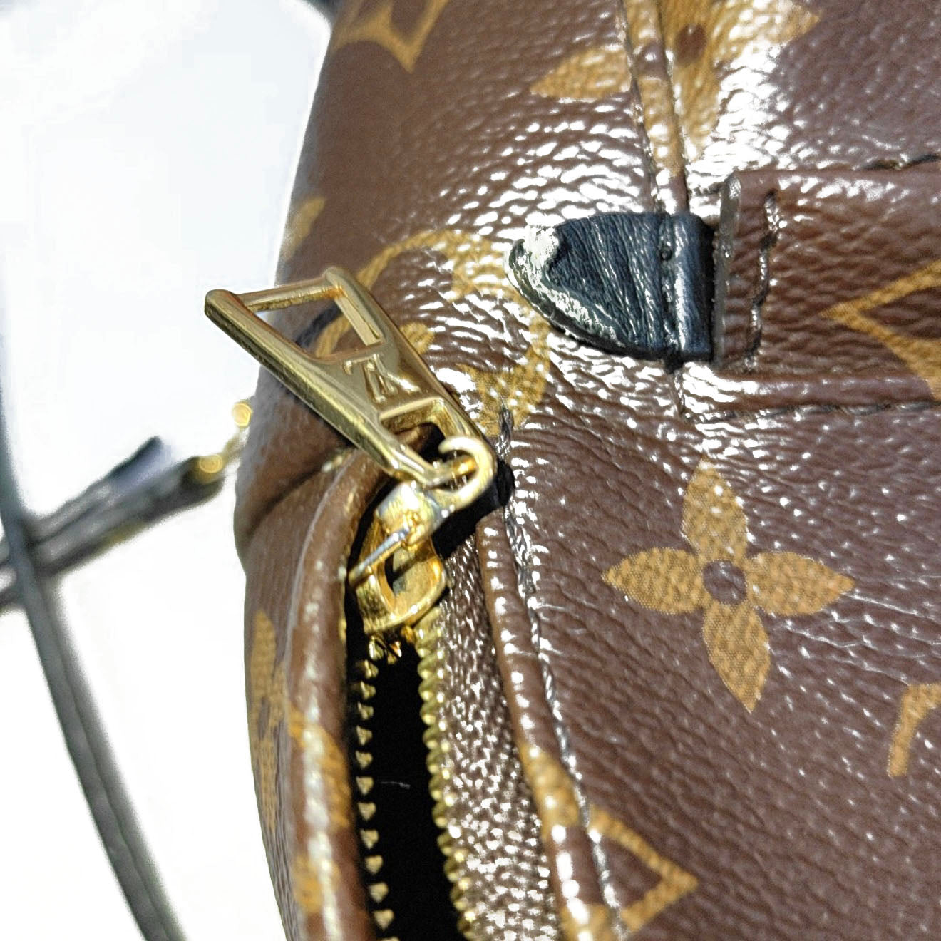 Louis Vuitton  Monogram Palm Springs Backpack Mini