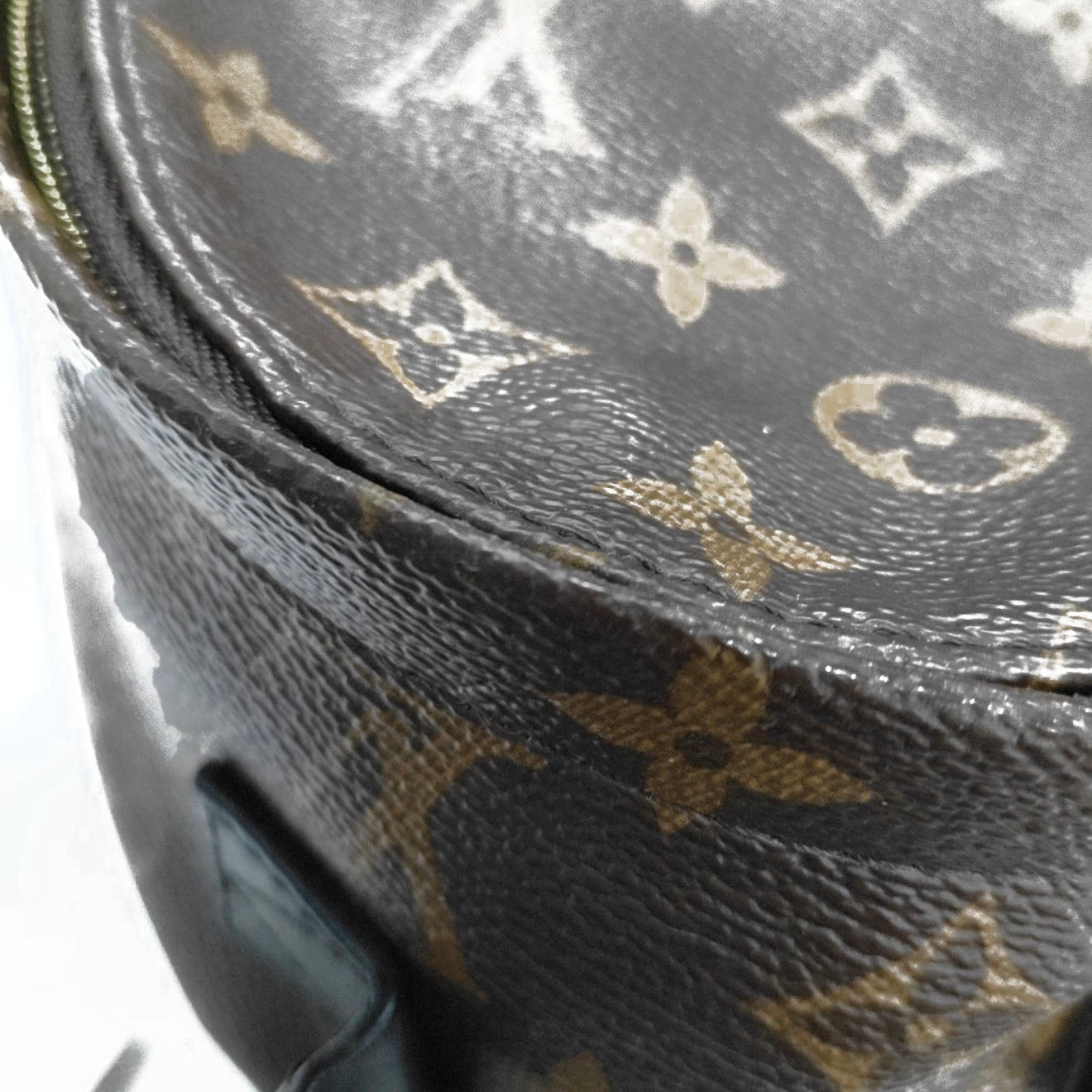 Louis Vuitton  Monogram Palm Springs Backpack Mini