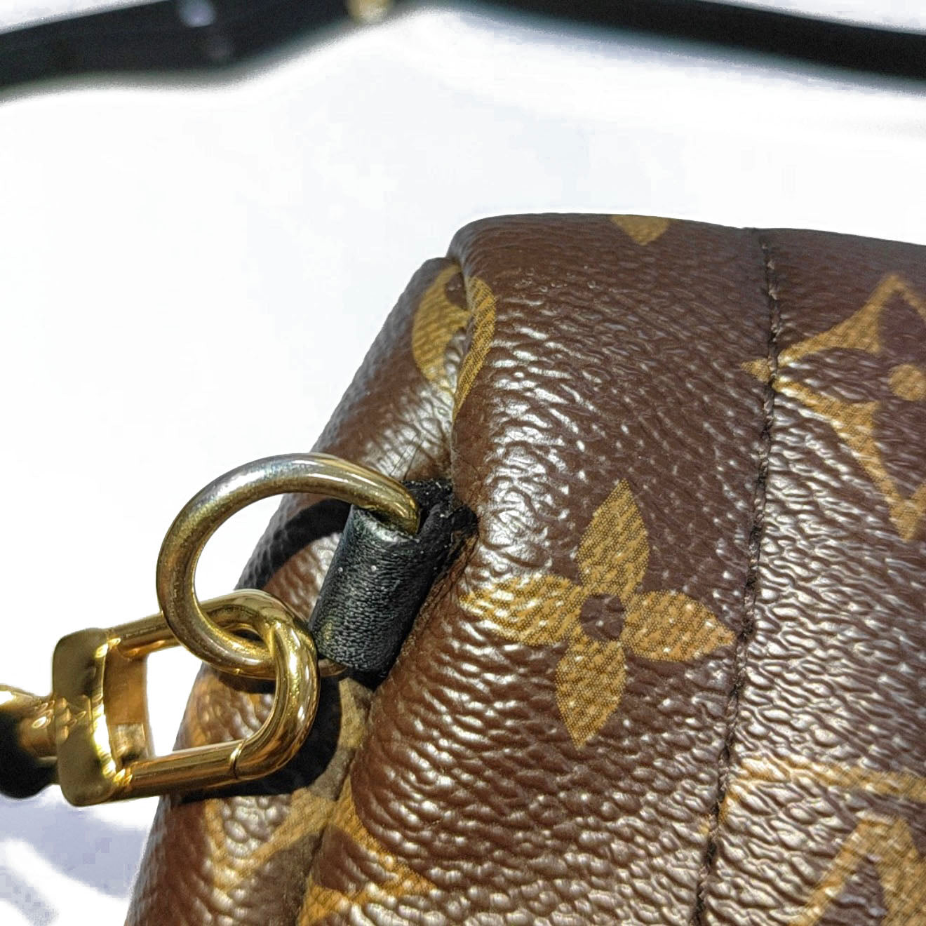 Louis Vuitton  Monogram Palm Springs Backpack Mini