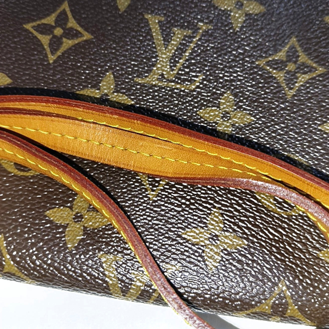 Louis Vuitton  Monogram Favorite PM