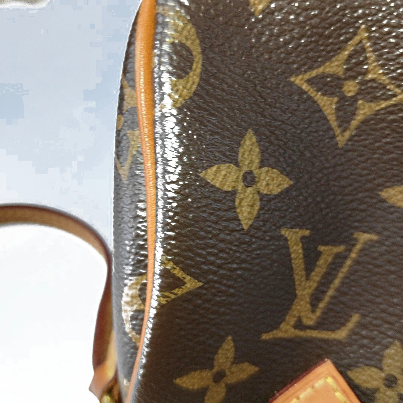 PRE-ORDER  Louis Vuitton  Monogram Nano Speedy