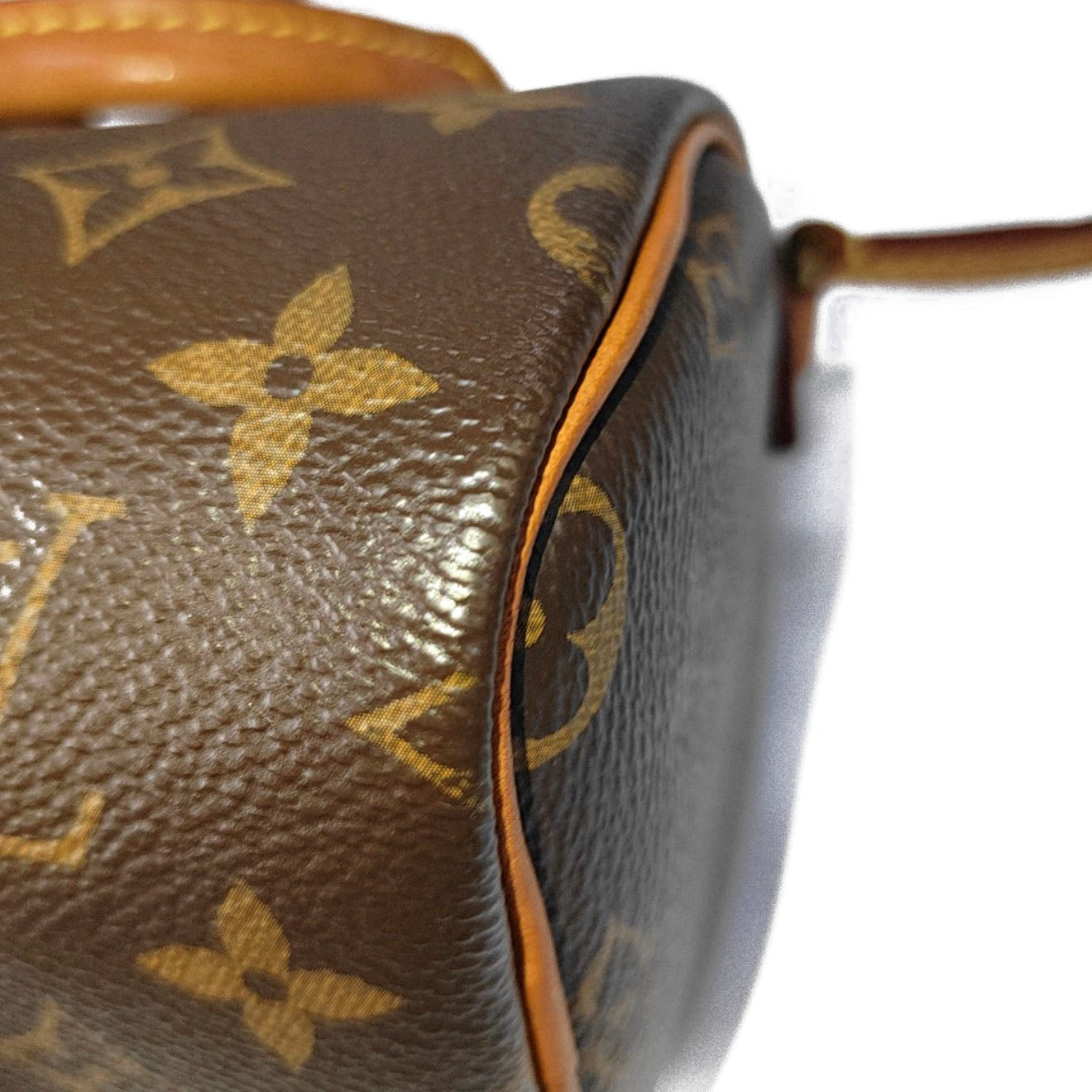 PRE-ORDER  Louis Vuitton  Monogram Nano Speedy