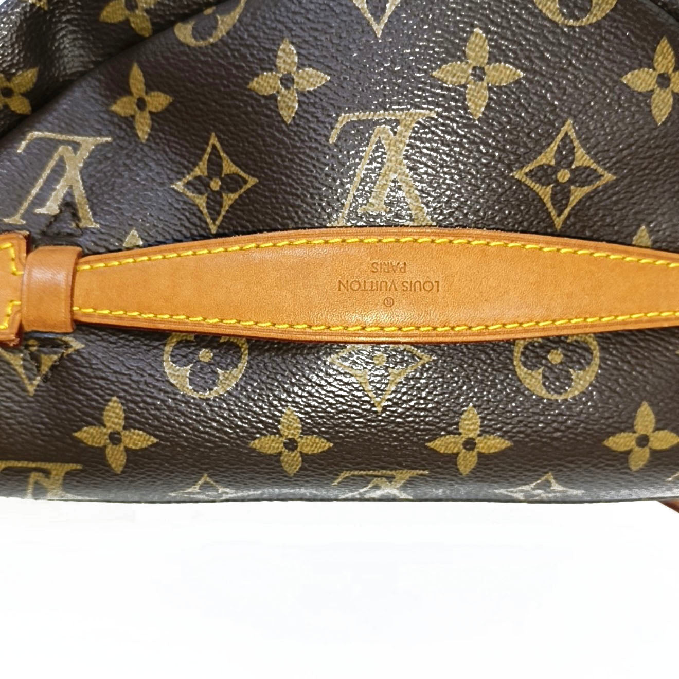 PRE-ORDER  Louis Vuitton  Monogram Bumbag