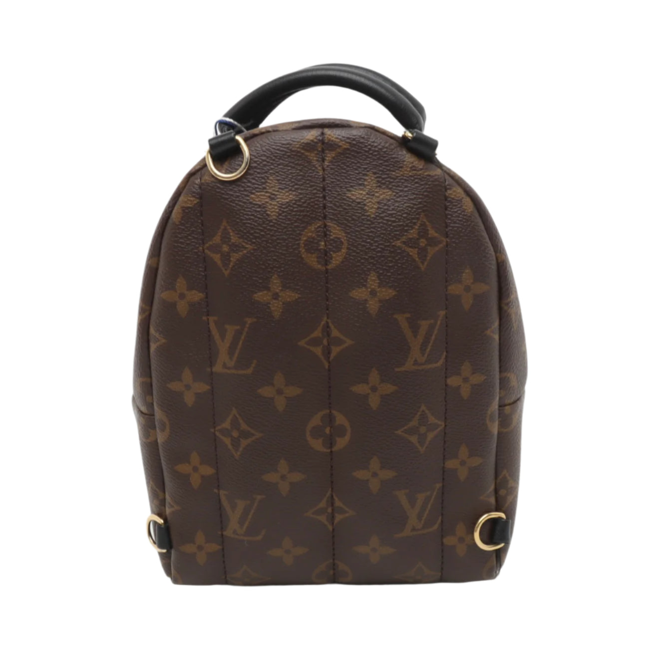 PRE-ORDER Louis Vuitton  Monogram Palm Springs Backpack Mini