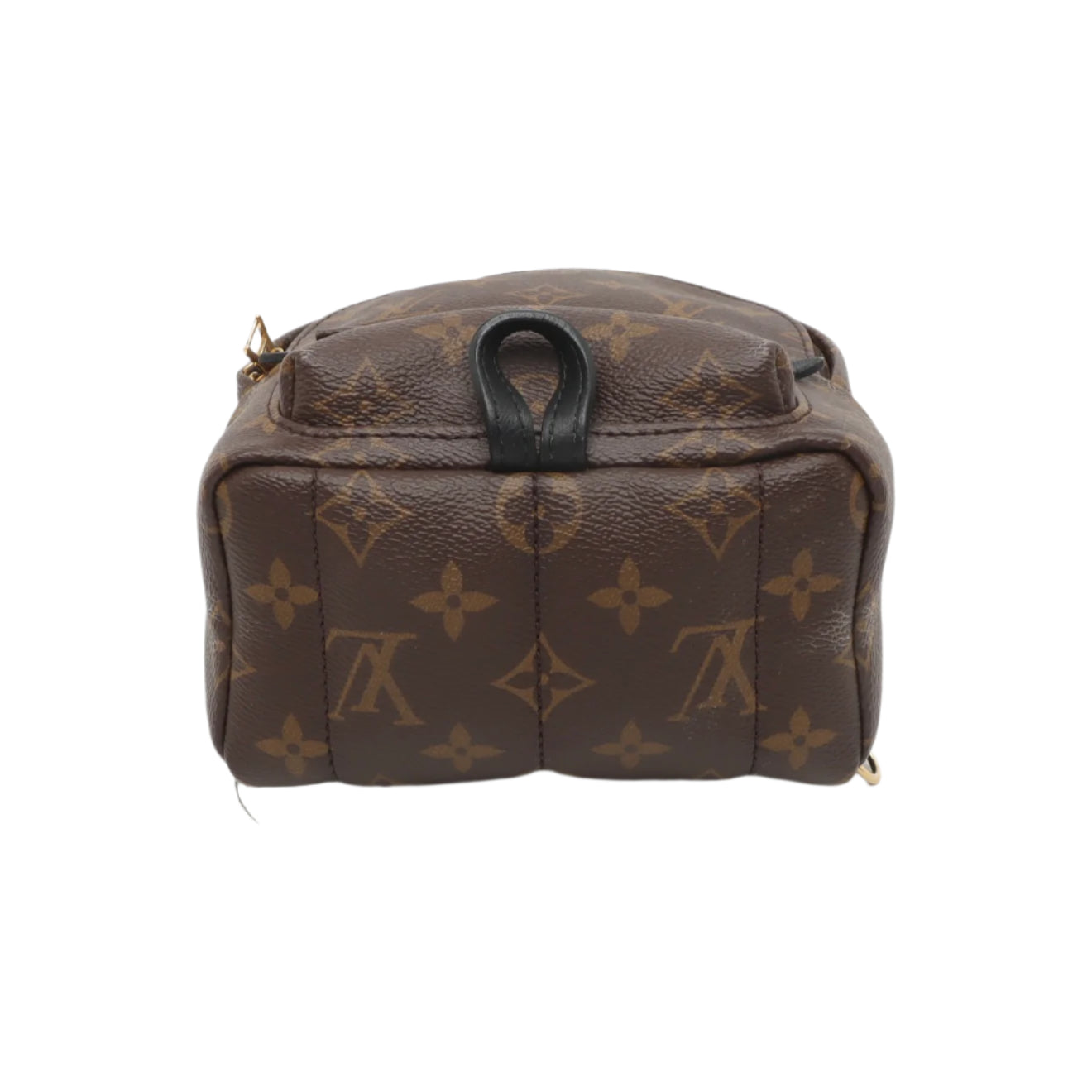 PRE-ORDER Louis Vuitton  Monogram Palm Springs Backpack Mini