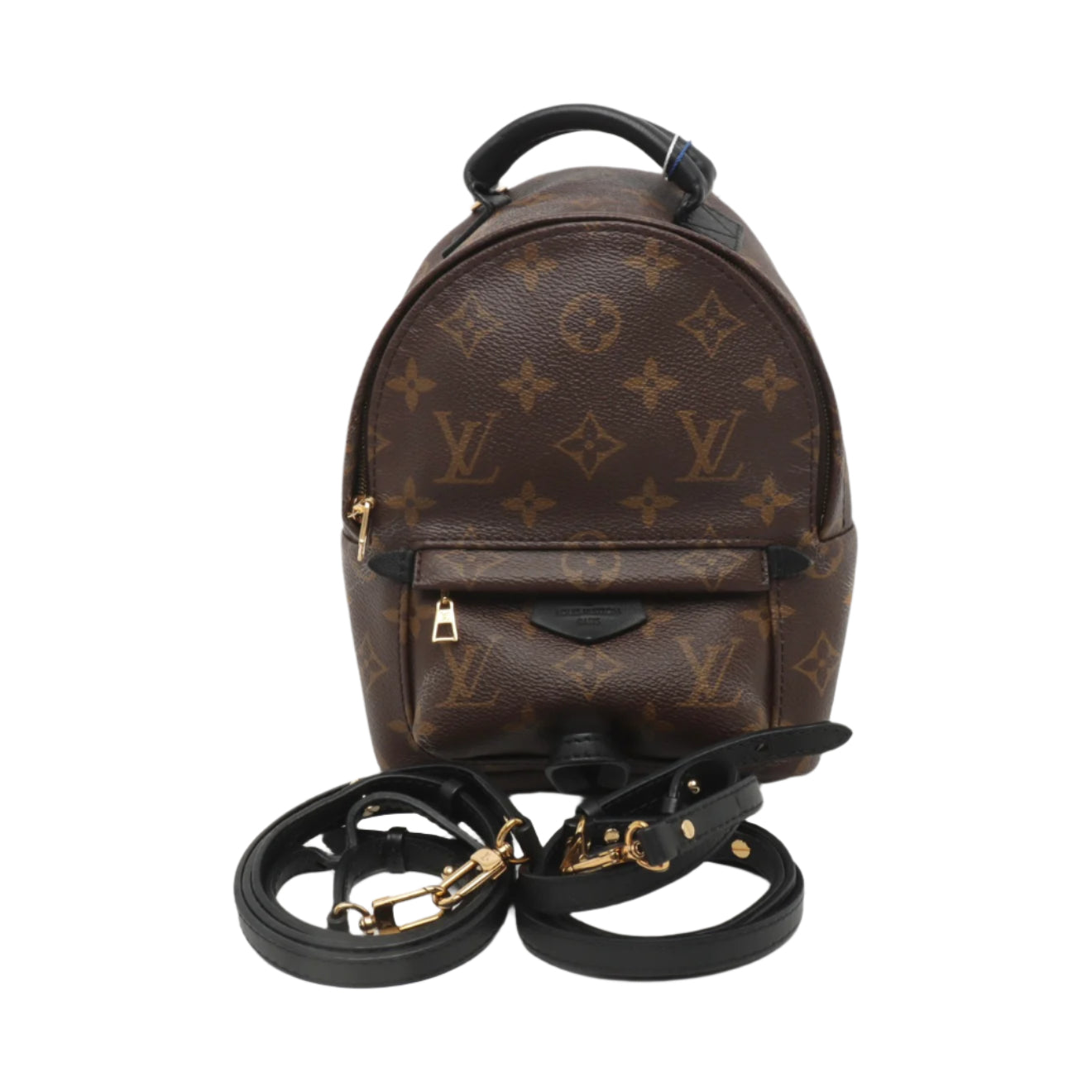 PRE-ORDER Louis Vuitton  Monogram Palm Springs Backpack Mini