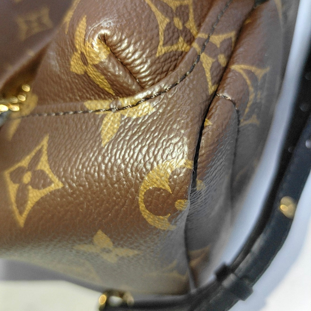 PRE-ORDER Louis Vuitton  Monogram Palm Springs Backpack Mini