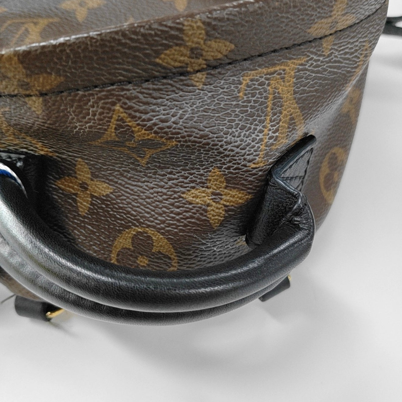 PRE-ORDER Louis Vuitton  Monogram Palm Springs Backpack Mini