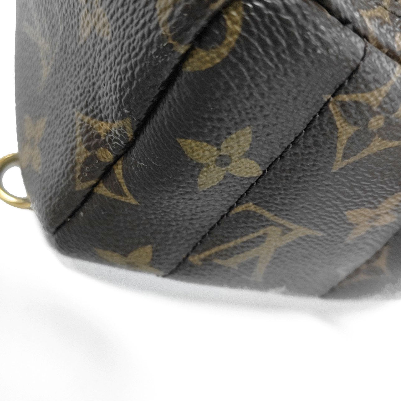 PRE-ORDER  LOUIS VUITTON  Monogram Palm Springs Backpack Mini