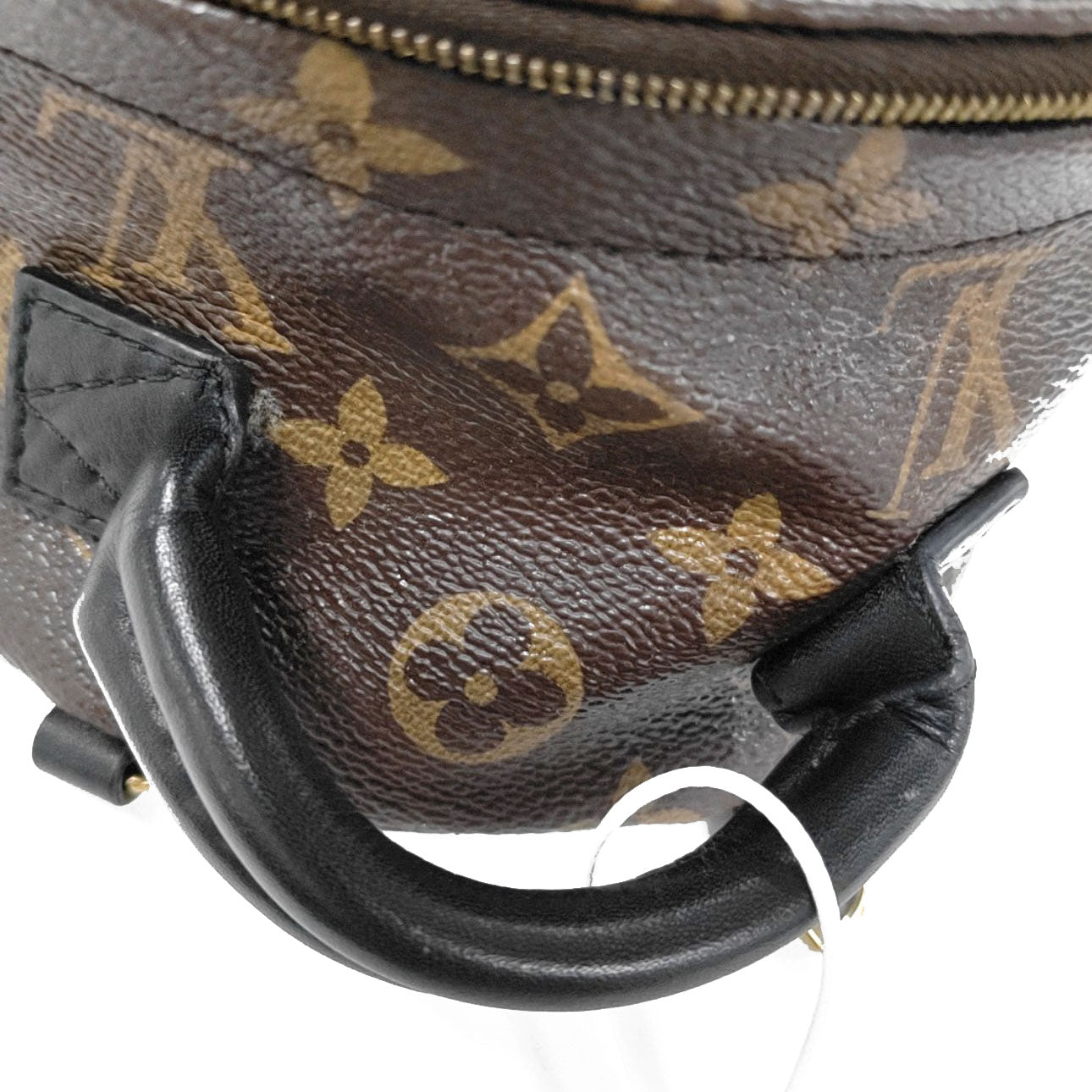 PRE-ORDER  LOUIS VUITTON  Monogram Palm Springs Backpack Mini