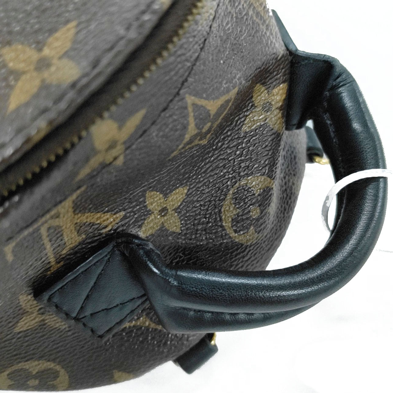 PRE-ORDER  LOUIS VUITTON  Monogram Palm Springs Backpack Mini