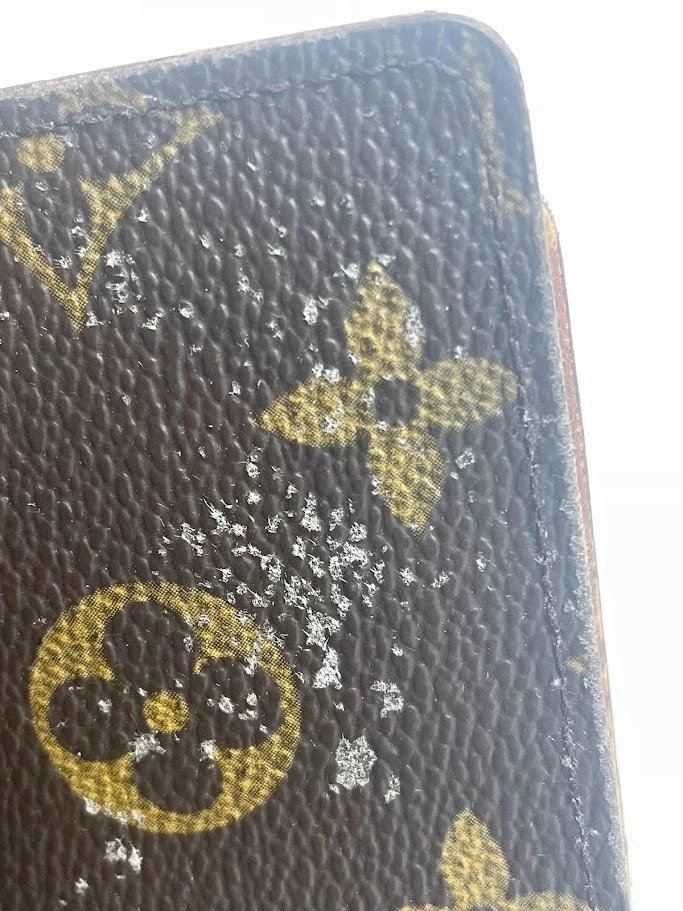 LOUIS VUITTON Monogram  Agenda PM Day Planner Notebook Cover CA0947