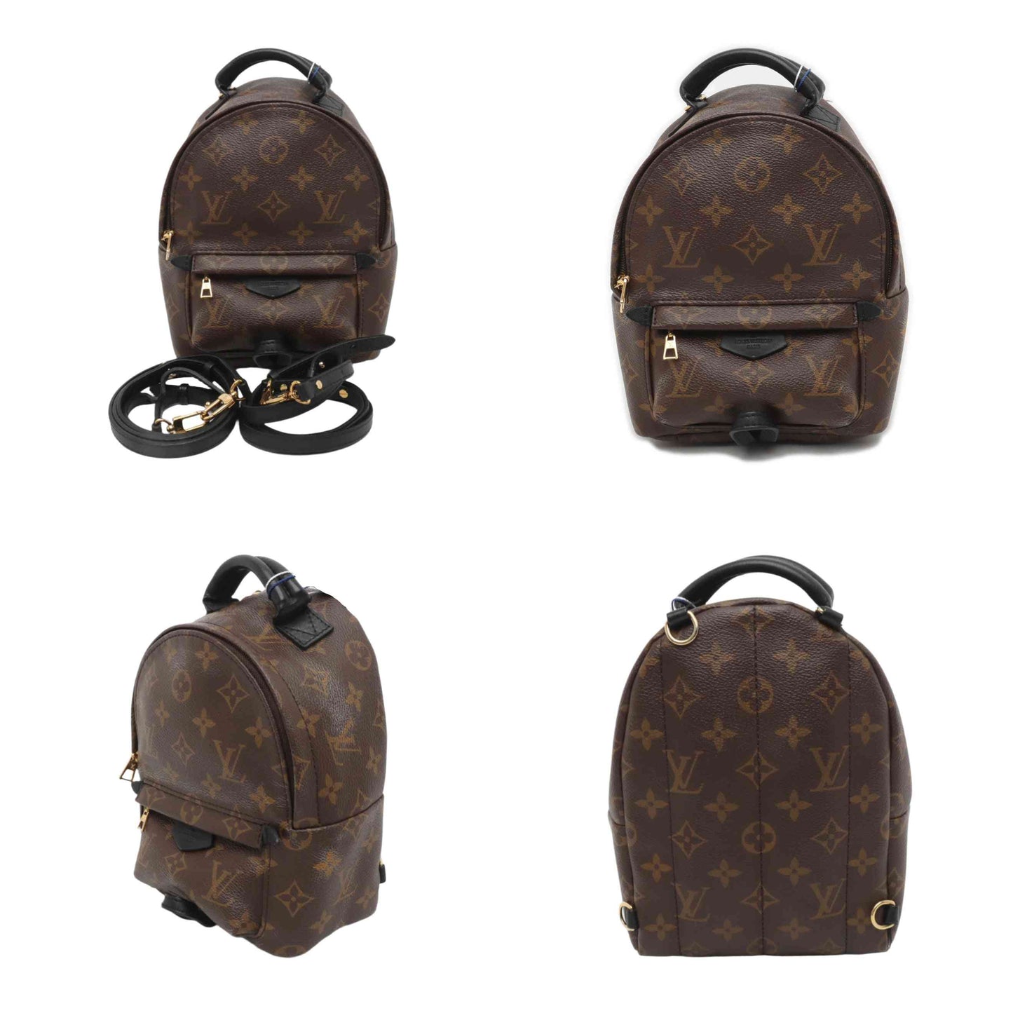 PRE-ORDER Louis Vuitton  Monogram Palm Springs Backpack Mini