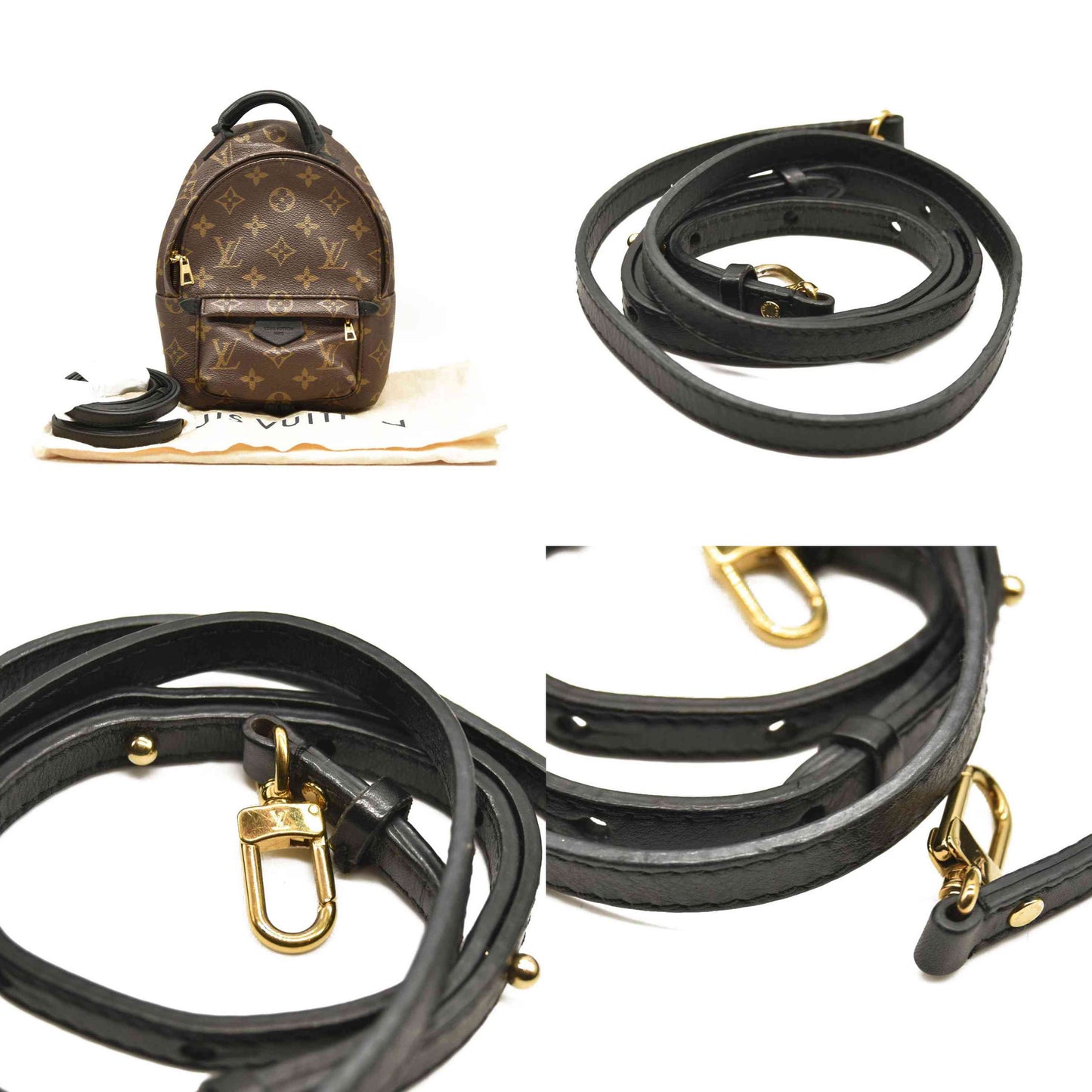 LOUIS VUITTON  Monogram Palm Springs Backpack Mini CA1118