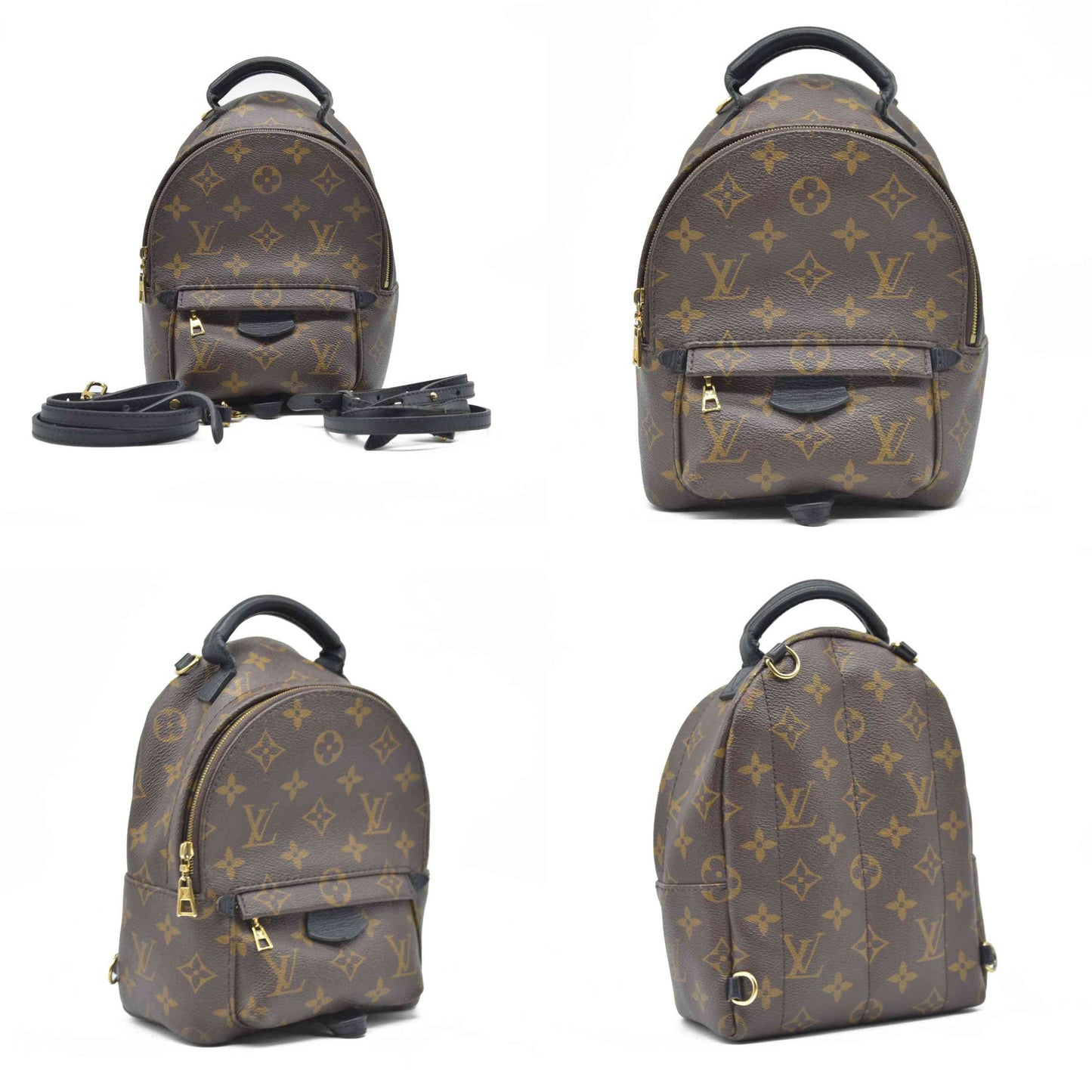 $2690 Louis Vuitton LV Monogram Palm Springs Mini