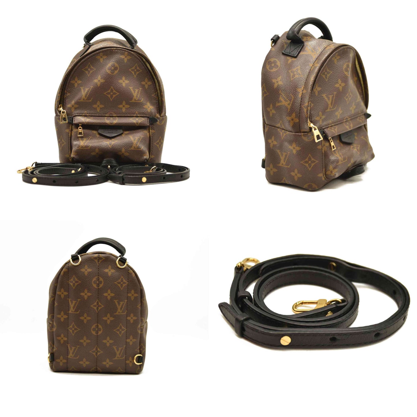 Louis Vuitton  Monogram Palm Springs Backpack Mini CA1137