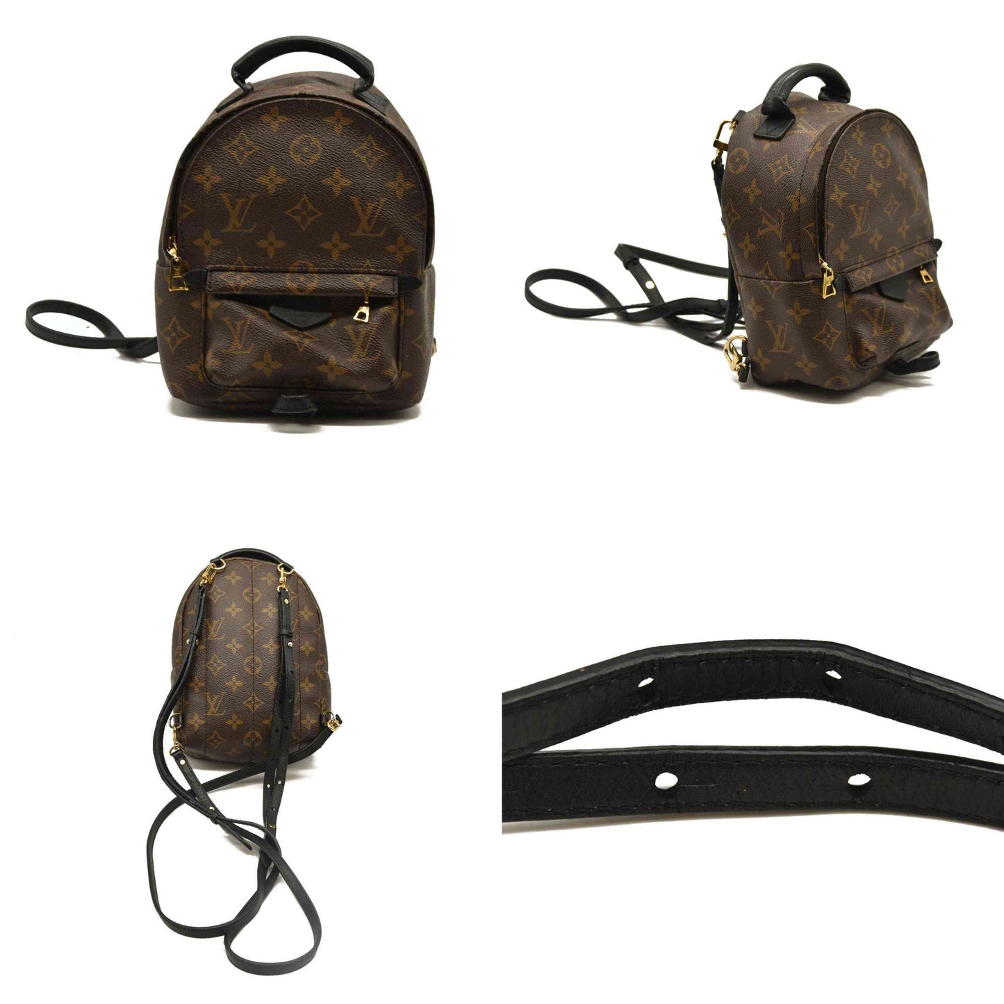 Louis Vuitton  Monogram Palm Springs Backpack Mini