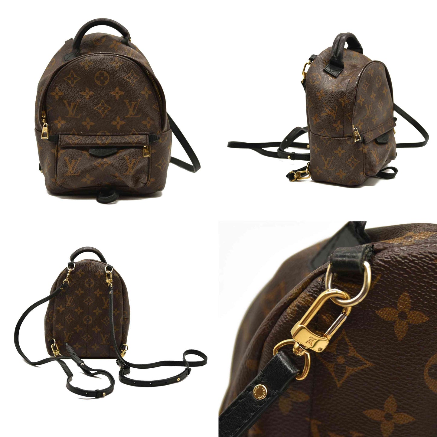 LOUIS VUITTON  Monogram Palm Springs Backpack Mini