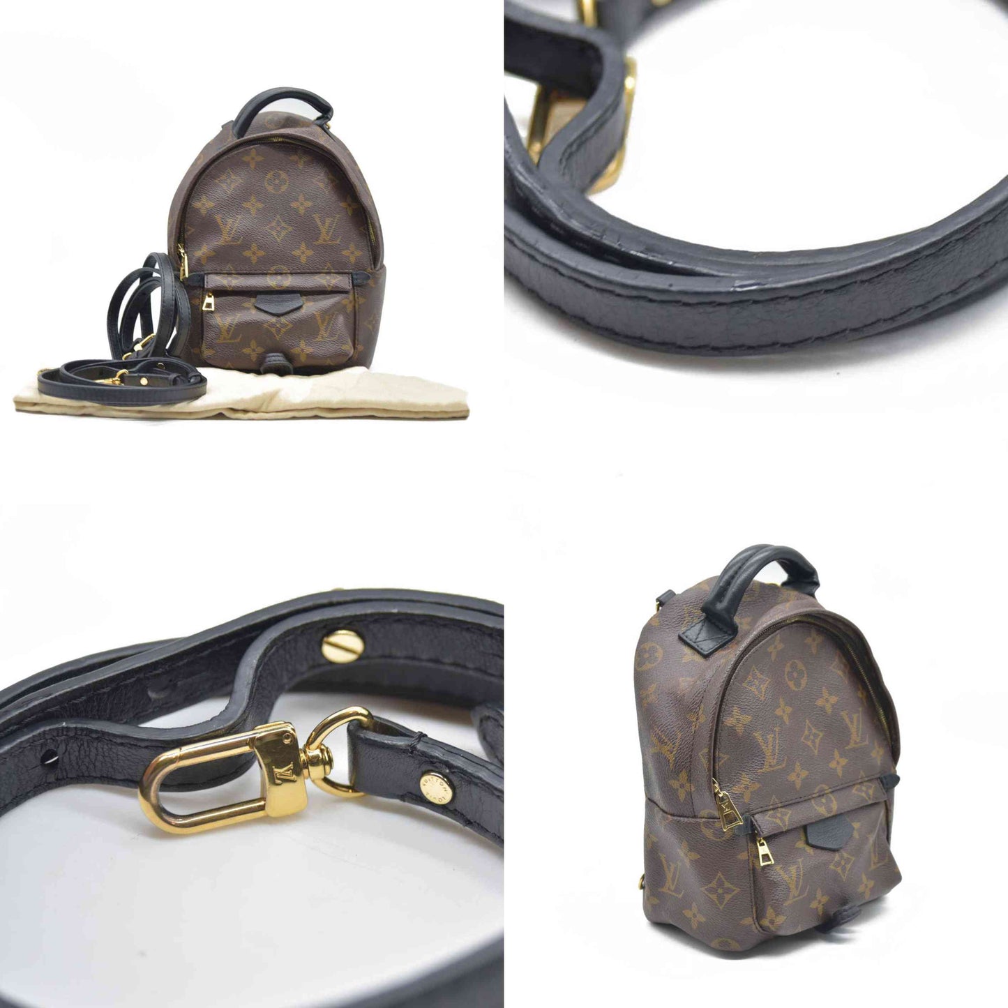 Louis Vuitton  Monogram Palm Springs Backpack Mini