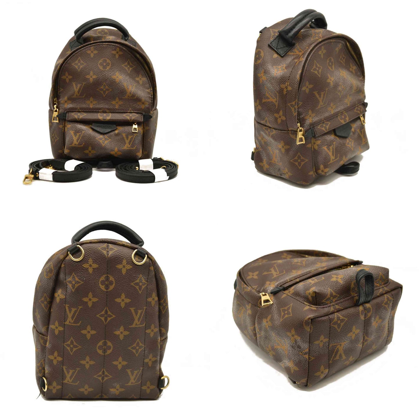 Louis Vuitton  Monogram Palm Springs Backpack Mini