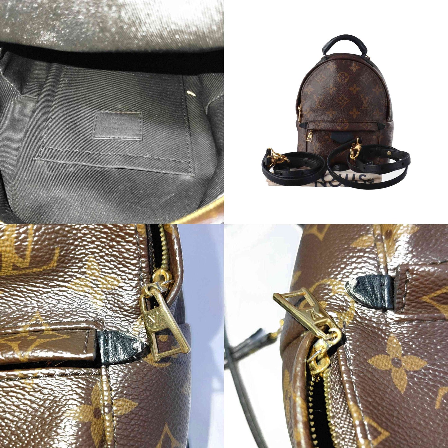 Louis Vuitton  Monogram Palm Springs Backpack Mini