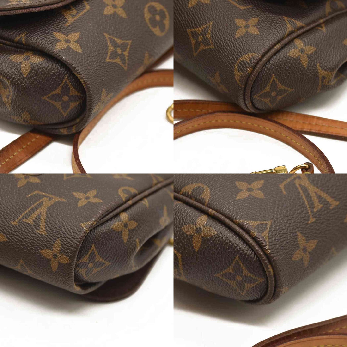 Louis Vuitton  Monogram Favorite MM