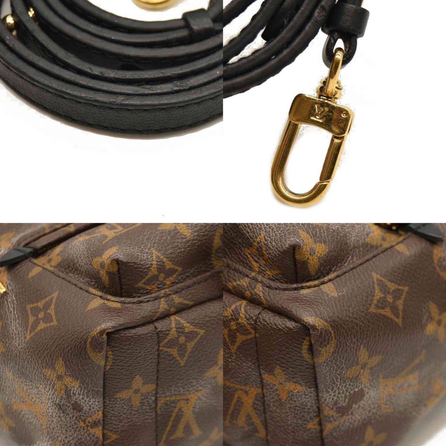 Louis Vuitton  Monogram Palm Springs Backpack Mini