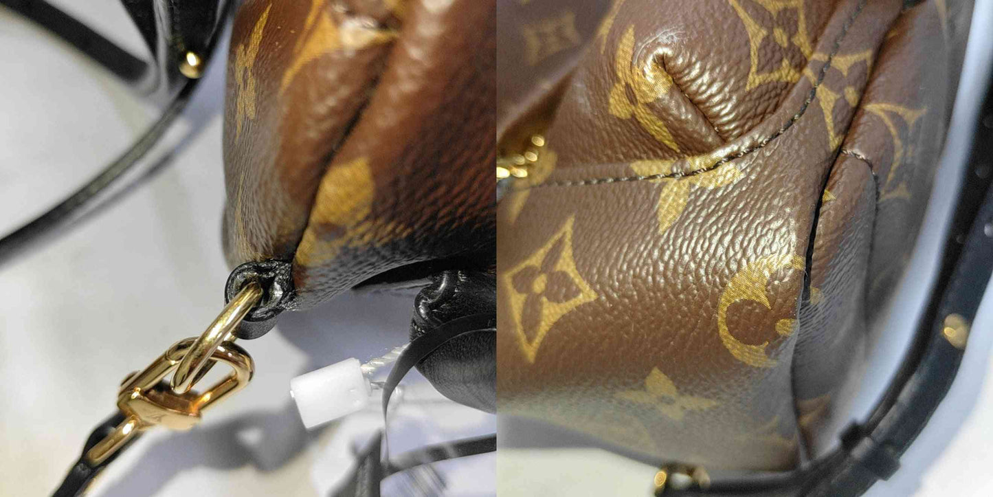 PRE-ORDER Louis Vuitton  Monogram Palm Springs Backpack Mini