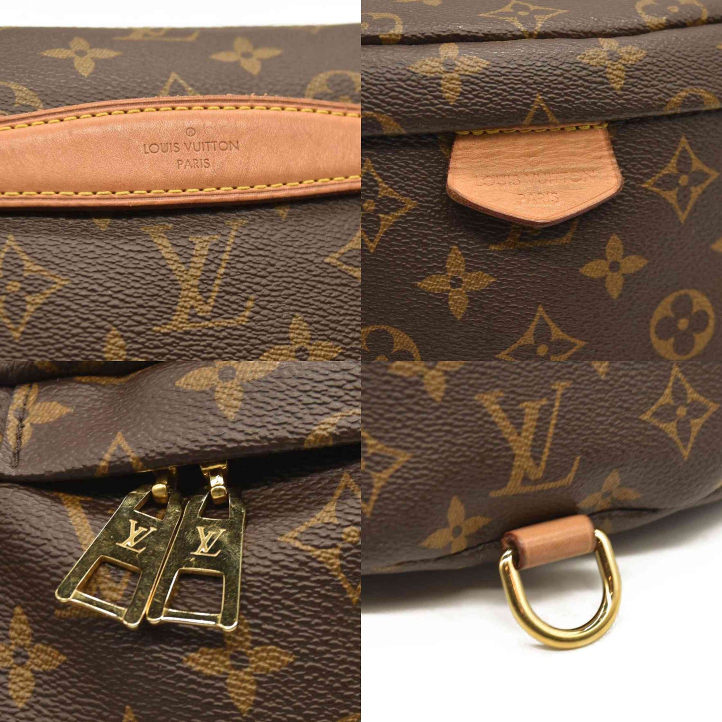 LOUIS VUITTON Monogram Bumbag CA0290